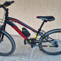 bicicletta
