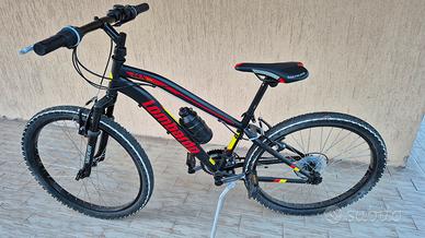 bicicletta
