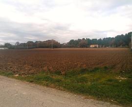 Terreno agricolo in zona Ponte Pio