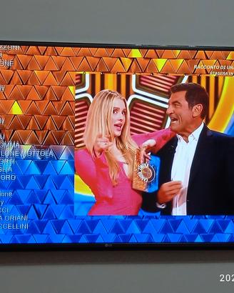 TV lg 49 pollici 