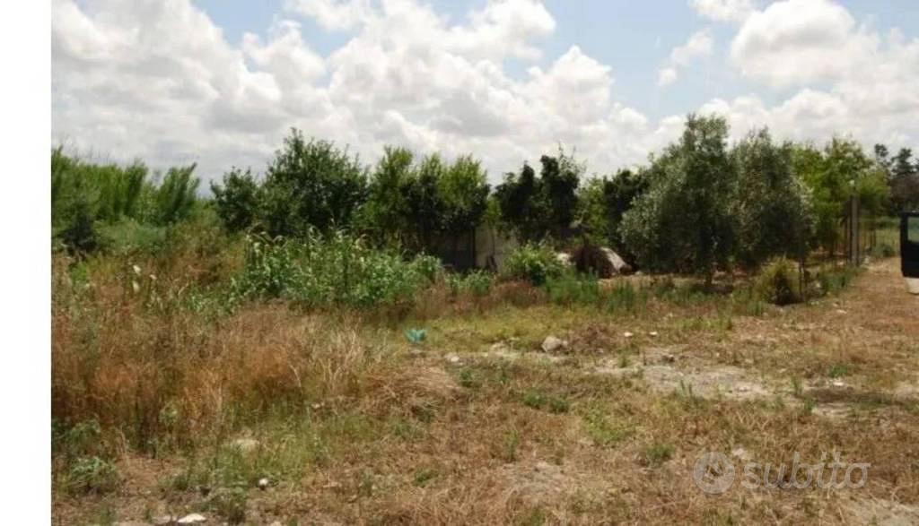Immobile in asta di 200 m² a Lesina - Vista 3