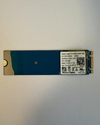 SSD M2 Western Digital 256GB