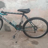 Mountain bike