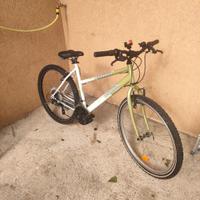 mountain bike da donna 