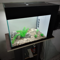 Acquario usato