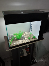 Acquario usato