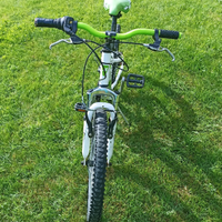 Mtb Atala cerchi da 20"