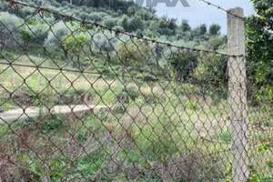Terreno - Caronia