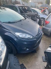 Musata completa ford fiesta