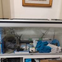 acquario completo 