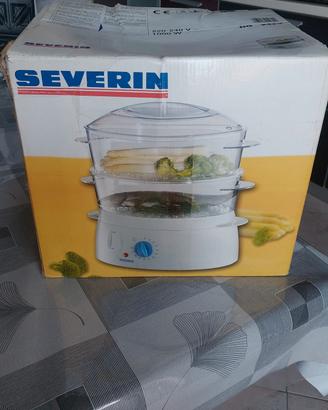 Vaporiera elettrica 