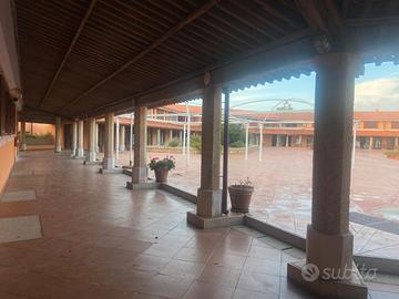 Locale Olbia in Via portò coda cavallo