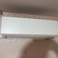condizionatore siesta daikin