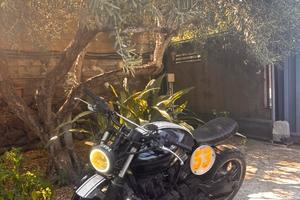 Honda hornet 600 scrambler