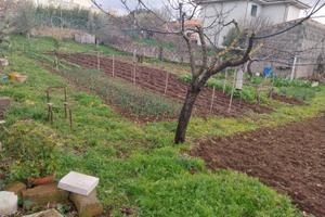 Area edificabile a Pozzomaggiore