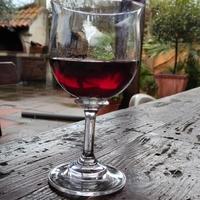 Vino di proprietà