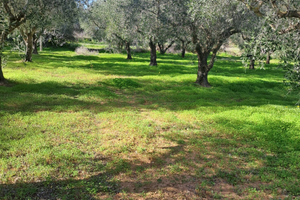 7 unità abitative terreno 13mila mq