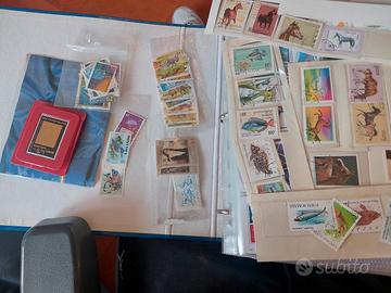 francobolli e schede telefoniche