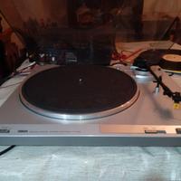 GIRADISCHI  YAMAHA    33/45 giri             60 €