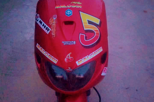 Piaggio zip fast rider