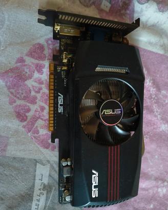 scheda video Asus GTX 550 1gb