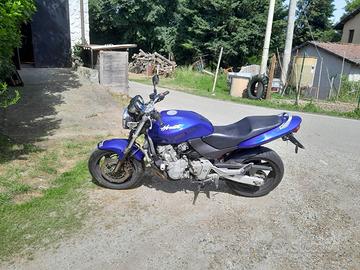 HONDA HORNET 600 - Elettric Blue 99