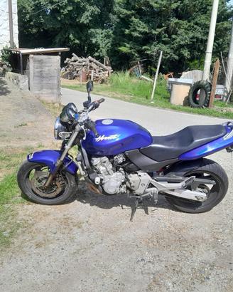 HONDA HORNET 600 - Elettric Blue 99