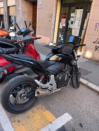 Hornet 600