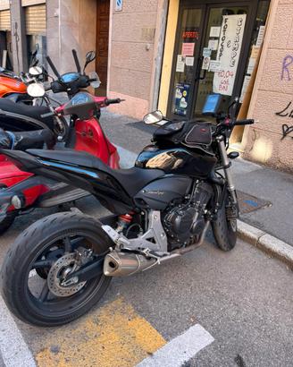 Hornet 600