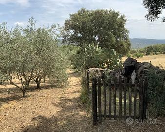 A cinque minuti da Bono