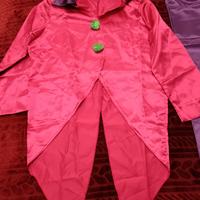 Vestito da clown