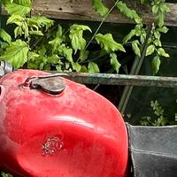 MOTOM 48 cc - MOTO D'EPOCA 50/60 ITALIANA