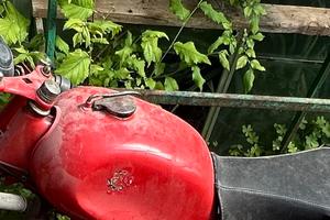 MOTOM 48 cc - MOTO D'EPOCA 50/60 ITALIANA