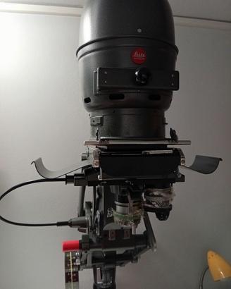 Ingranditore Leitz Focomat IIC