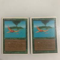 Magic the catering  uccello del padiso x2