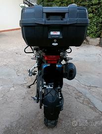 Benelli TRK 502 - 2023