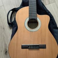 Chitarra APC pre amplificata