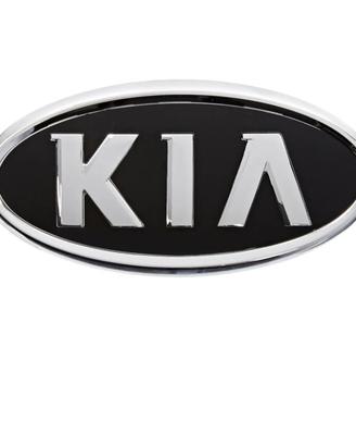 Varie ricambi INTERNI & CARROZZERIA (Kia Sportage)