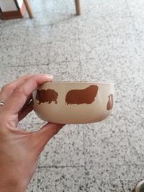 Ciotola per roditori 