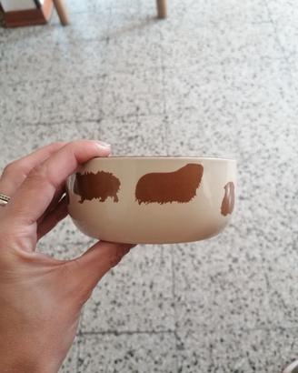 Ciotola per roditori 