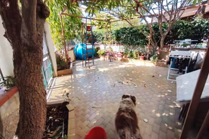 appartamento con giardino indipendente 