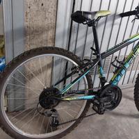 Mountain Bike 24"