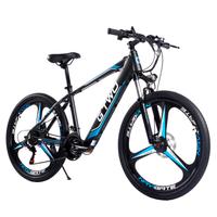 bici elettrica 
