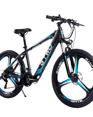 bici elettrica 