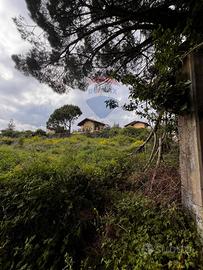 Terreno Edificabile - Mascalucia