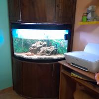 acquario con mobile