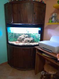 acquario con mobile