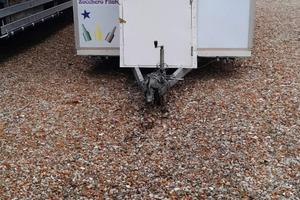 Carrello Streed Food