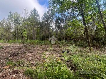 TER. AGRICOLO A CASTELFRANCO DI SOTTO