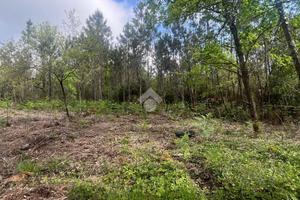 TER. AGRICOLO A CASTELFRANCO DI SOTTO